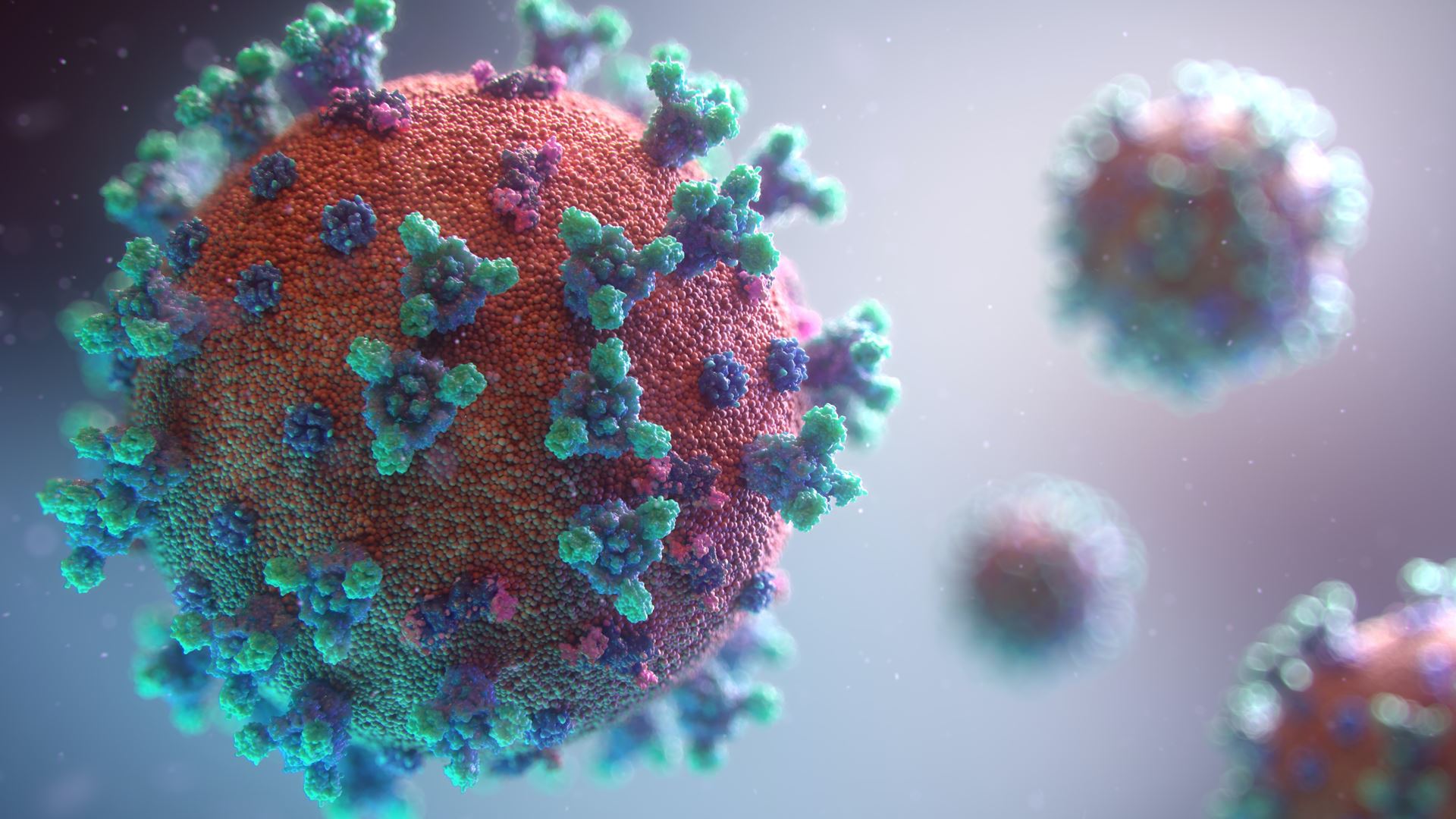 Coronavirus image